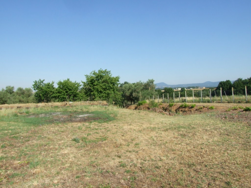 DSCF4847 (FILEminimizer).JPG